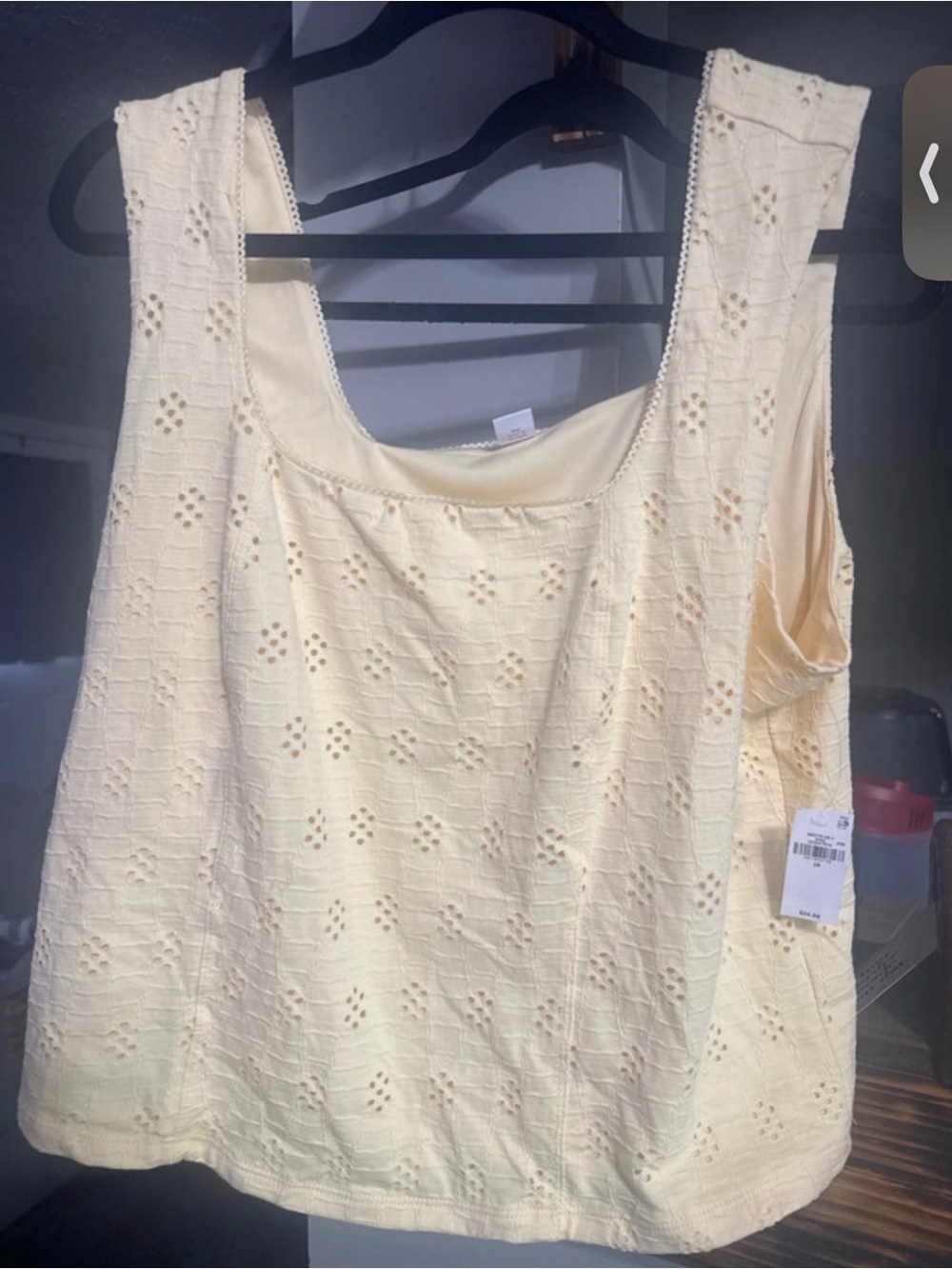 Old navy eyelet  crop tank